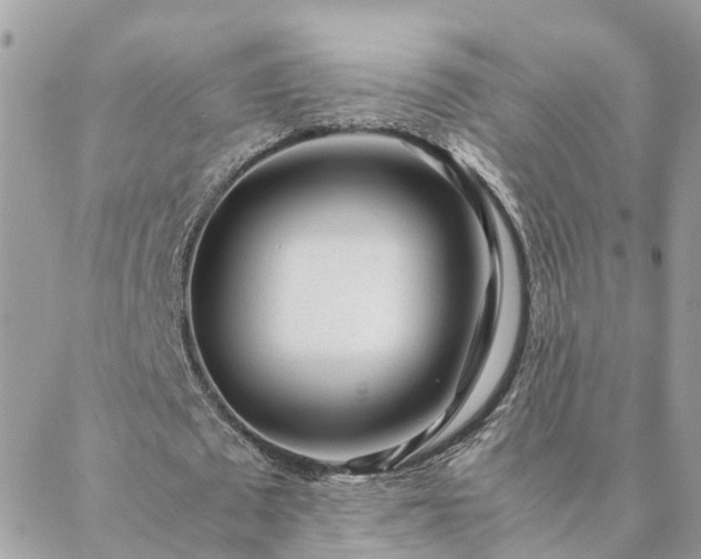 X0000088580673200706011113