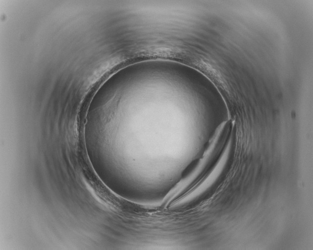 X0000088580674200706011113