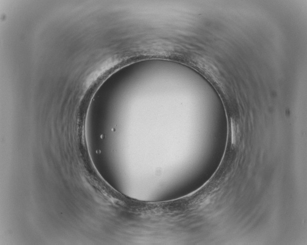 X0000088580675200706011113