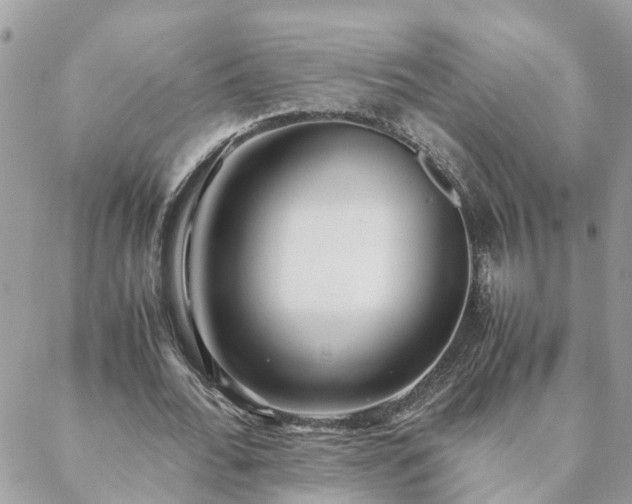 X0000088580676200706011113