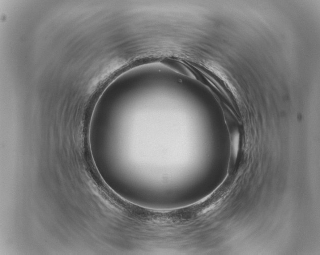 X0000088580677200706011113