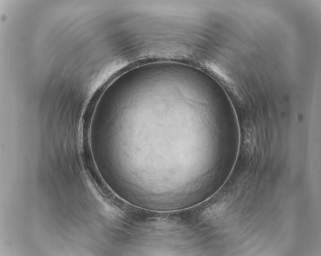 X0000088580678200706011113