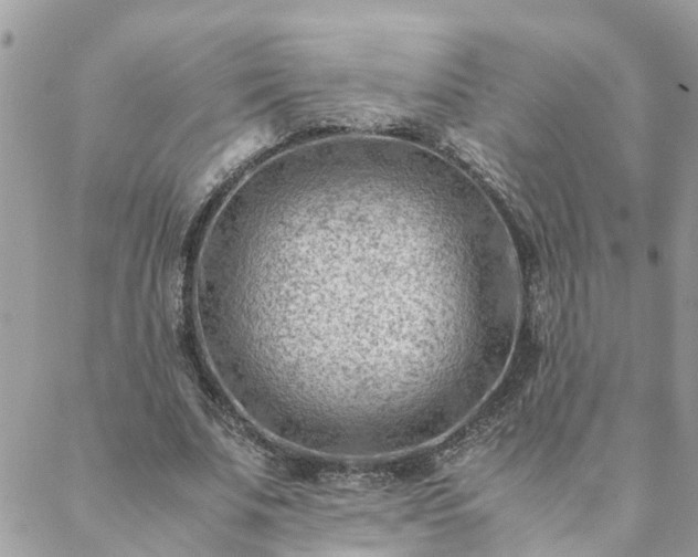 X0000088580679200706011113