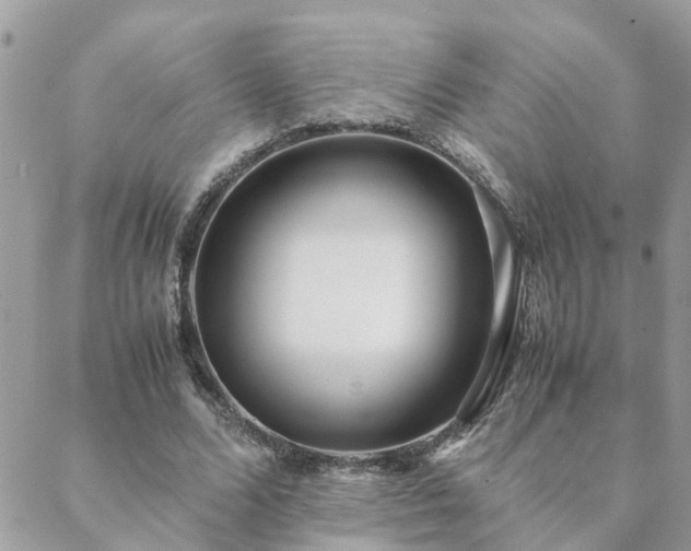 X0000088580680200706011113