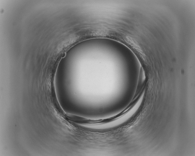 X0000088580681200706011113