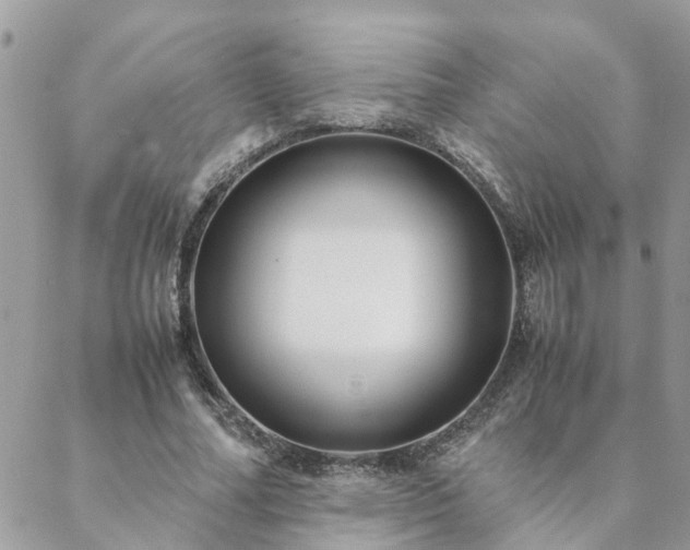 X0000088580682200706011113