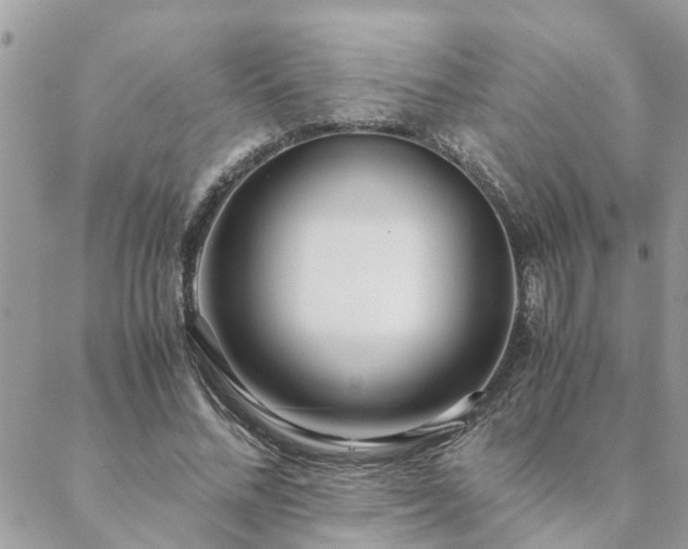 X0000088580684200706011113