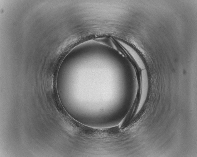 X0000088580685200706011113