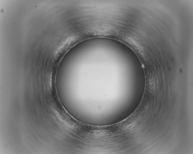 X0000088580686200706011113