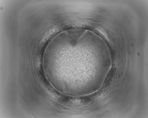 X0000088580687200706011113