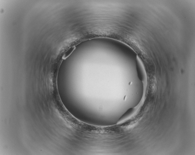 X0000088580688200706011113