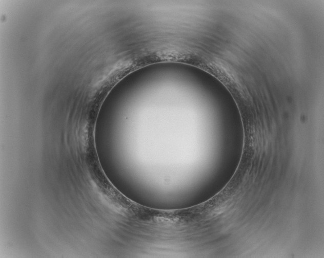 X0000088580690200706011113