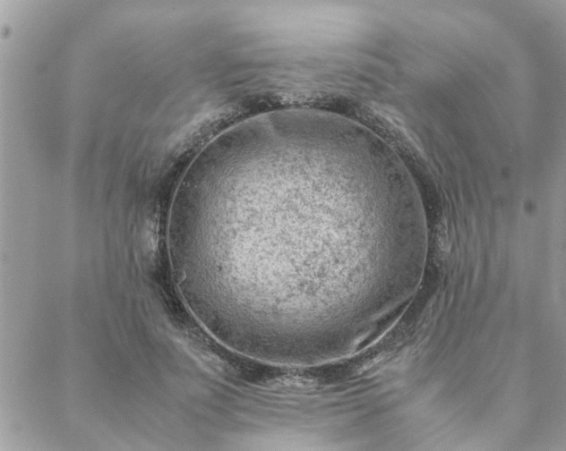 X0000088580691200706011113