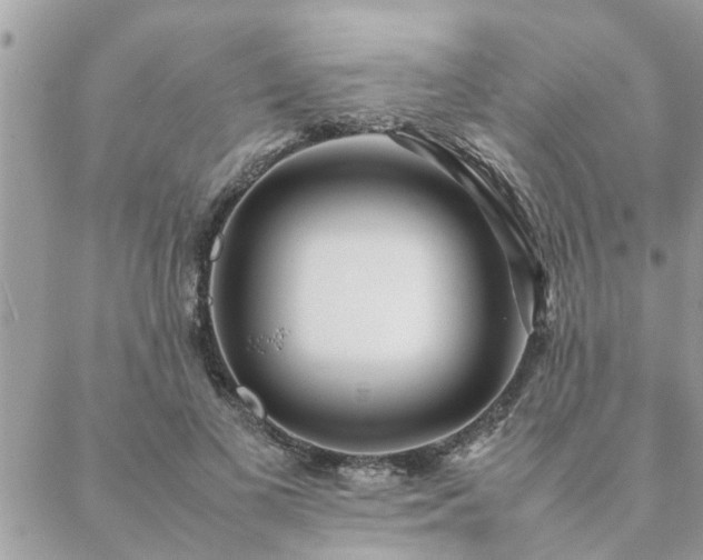 X0000088580693200706011113