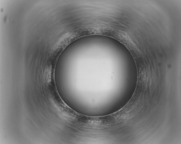 X0000088580694200706011113