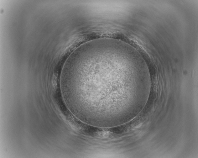 X0000088580695200706011113