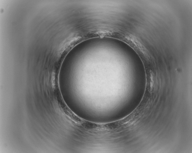 X0000088580696200706011113