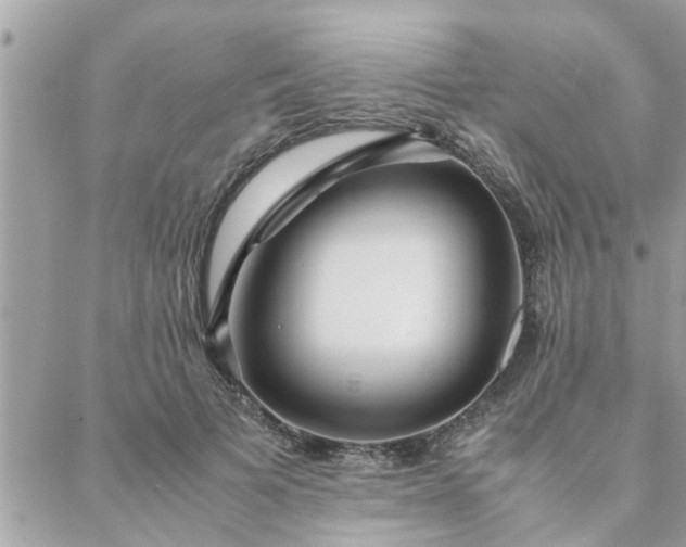 X0000088580697200706011113