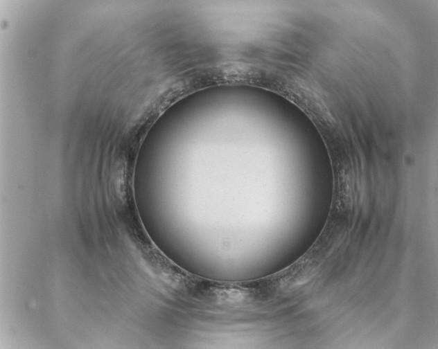 X0000088580698200706011113