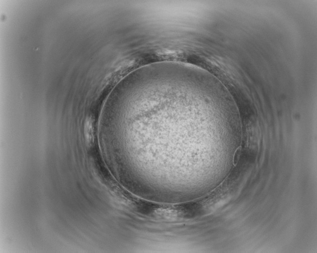 X0000088580699200706011113