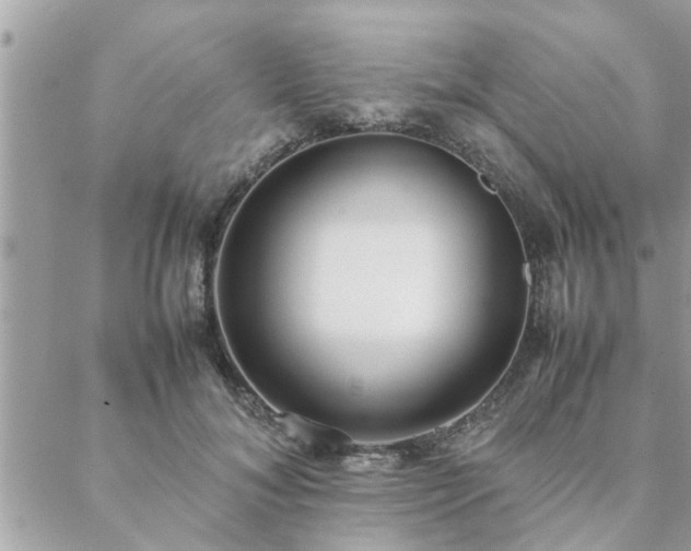 X0000088580700200706011113