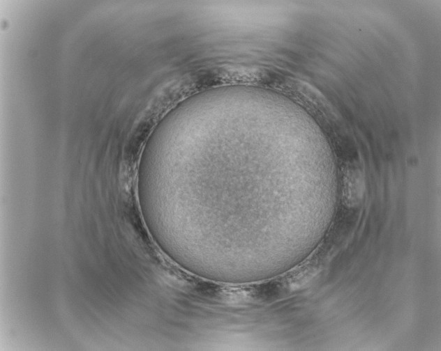 X0000088580701200706011113