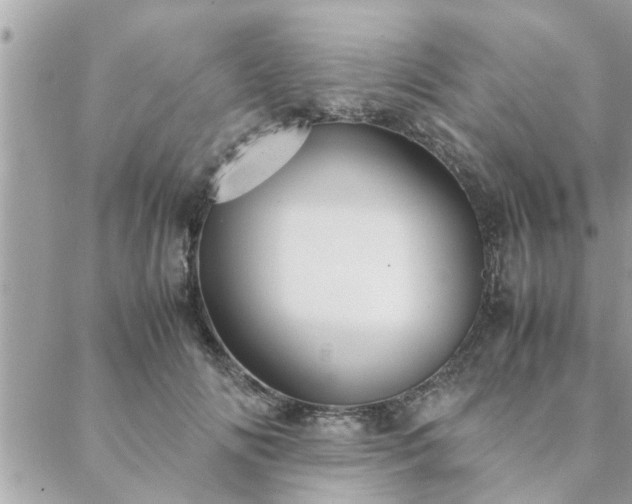 X0000088580702200706011113