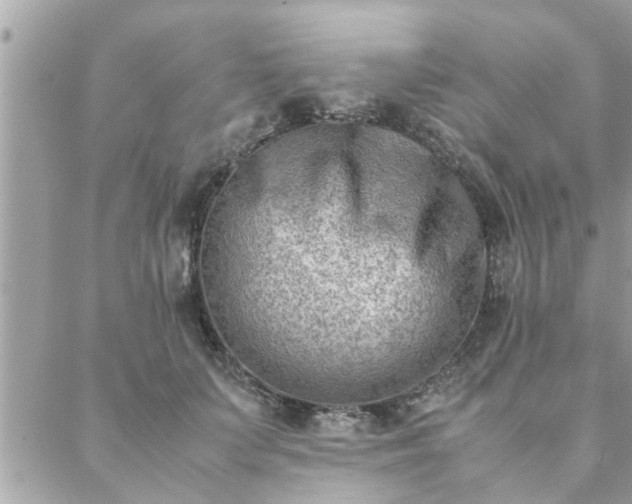 X0000088580703200706011113