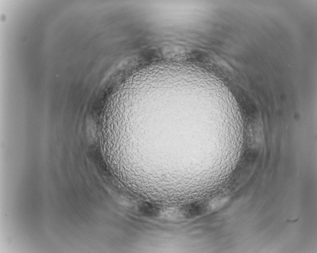 X0000088580705200706011113