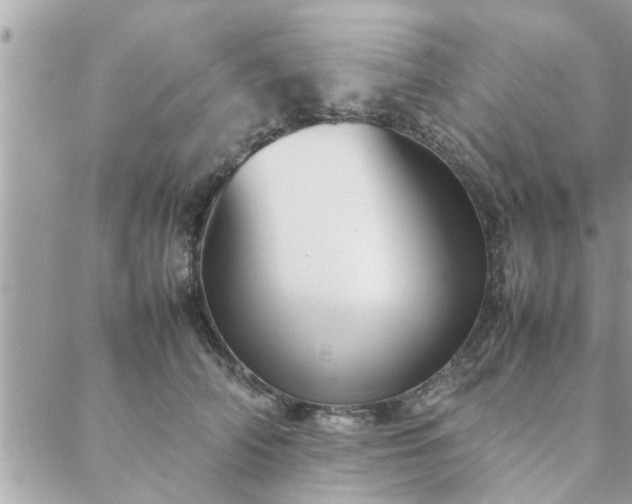 X0000088580706200706011113