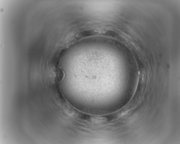 X0000088580707200706011113