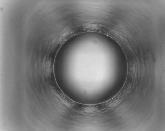 X0000088580708200706011113