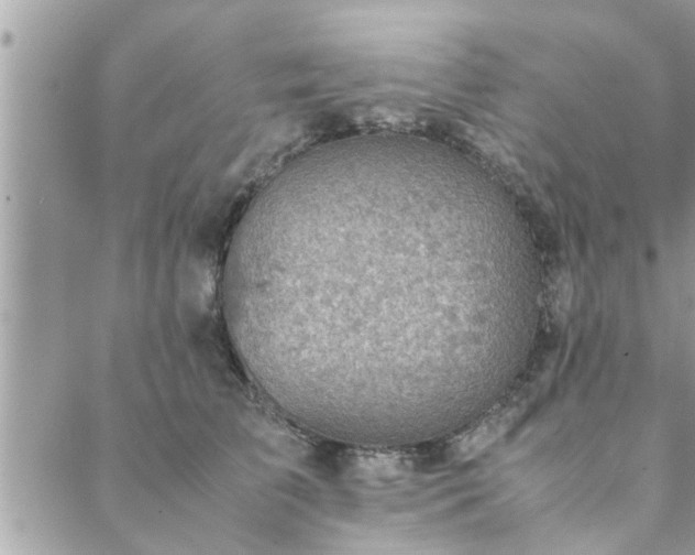 X0000088580709200706011113