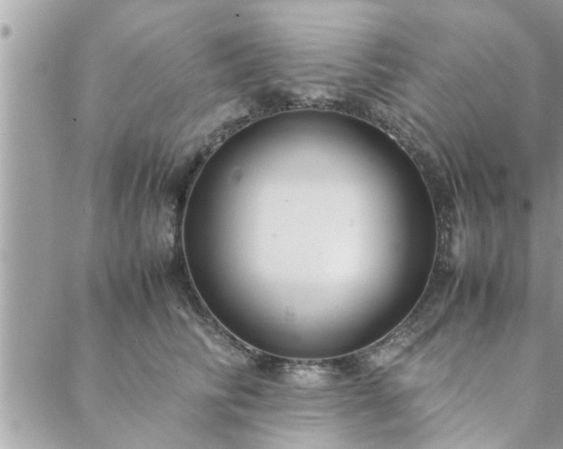 X0000088580710200706011113