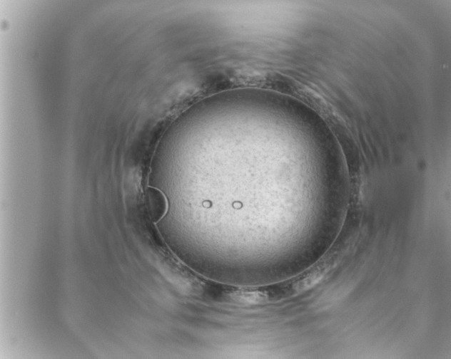 X0000088580711200706011113