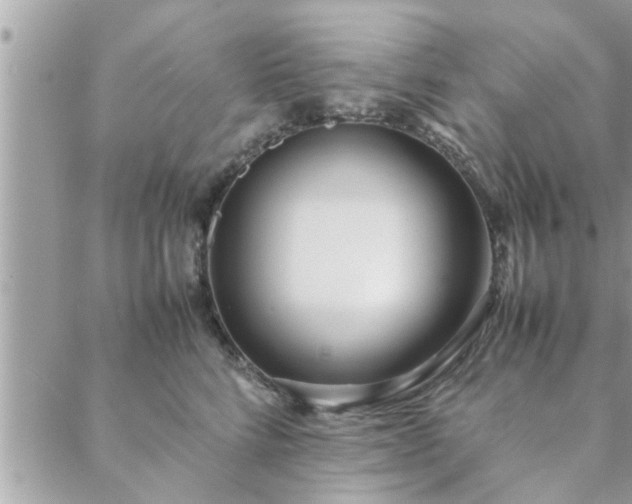 X0000088580712200706011113