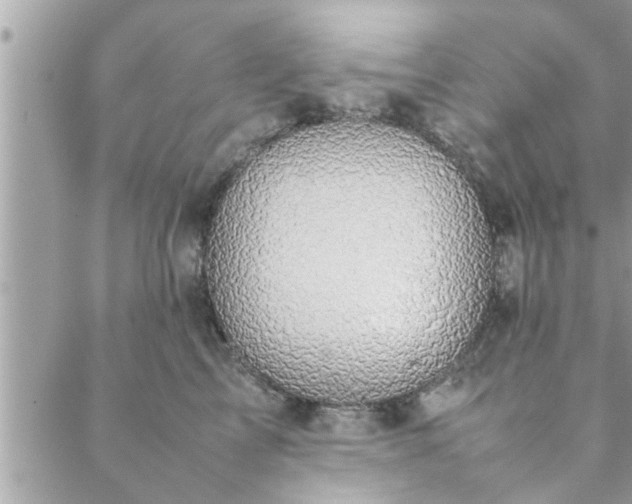 X0000088580713200706011113