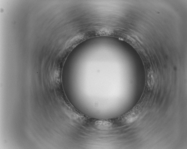 X0000088580714200706011113