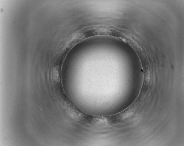 X0000088580715200706011113