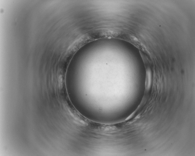 X0000088580716200706011113