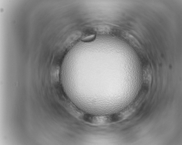 X0000088580717200706011113