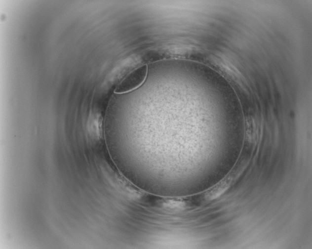 X0000088580718200706011113