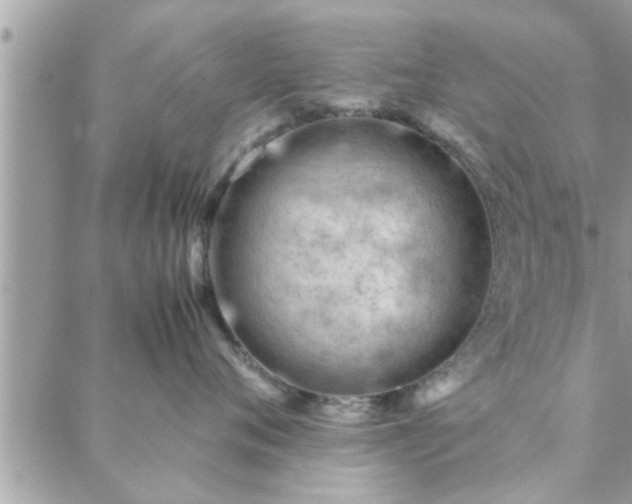 X0000088580720200706011113