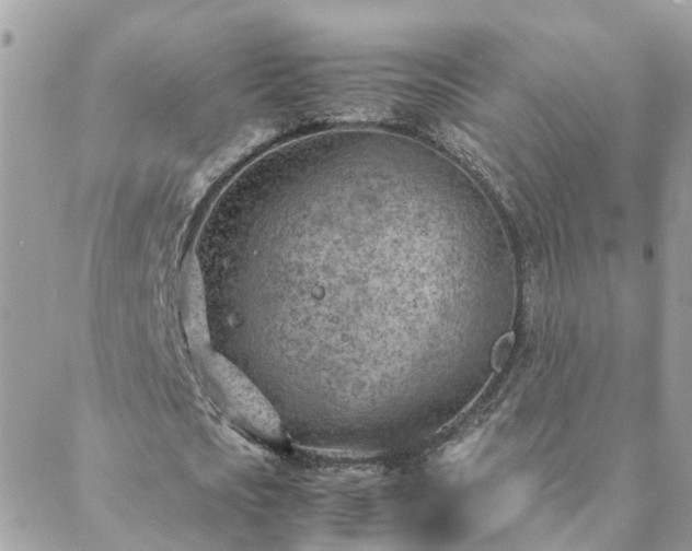 X0000088580721200706011112