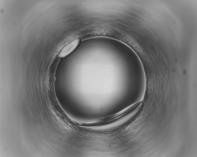 X0000088580722200706011112