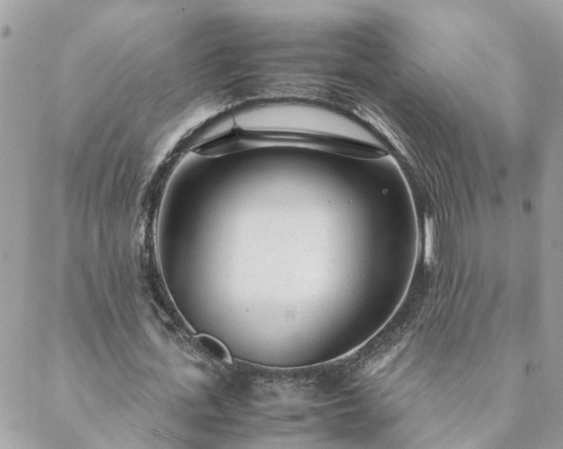 X0000088580723200706011112