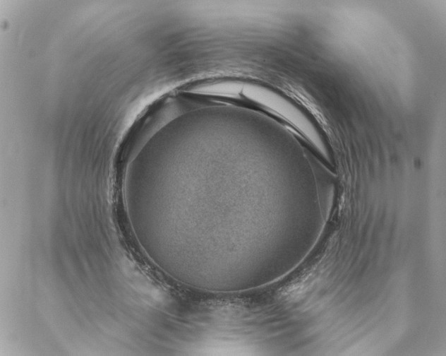 X0000088580724200706011112