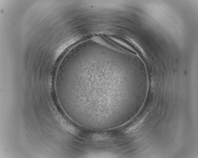 X0000088580725200706011112