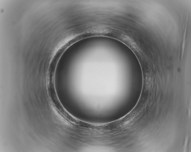 X0000088580726200706011112