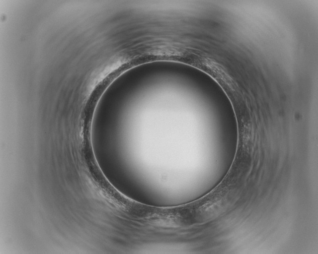 X0000088580727200706011112